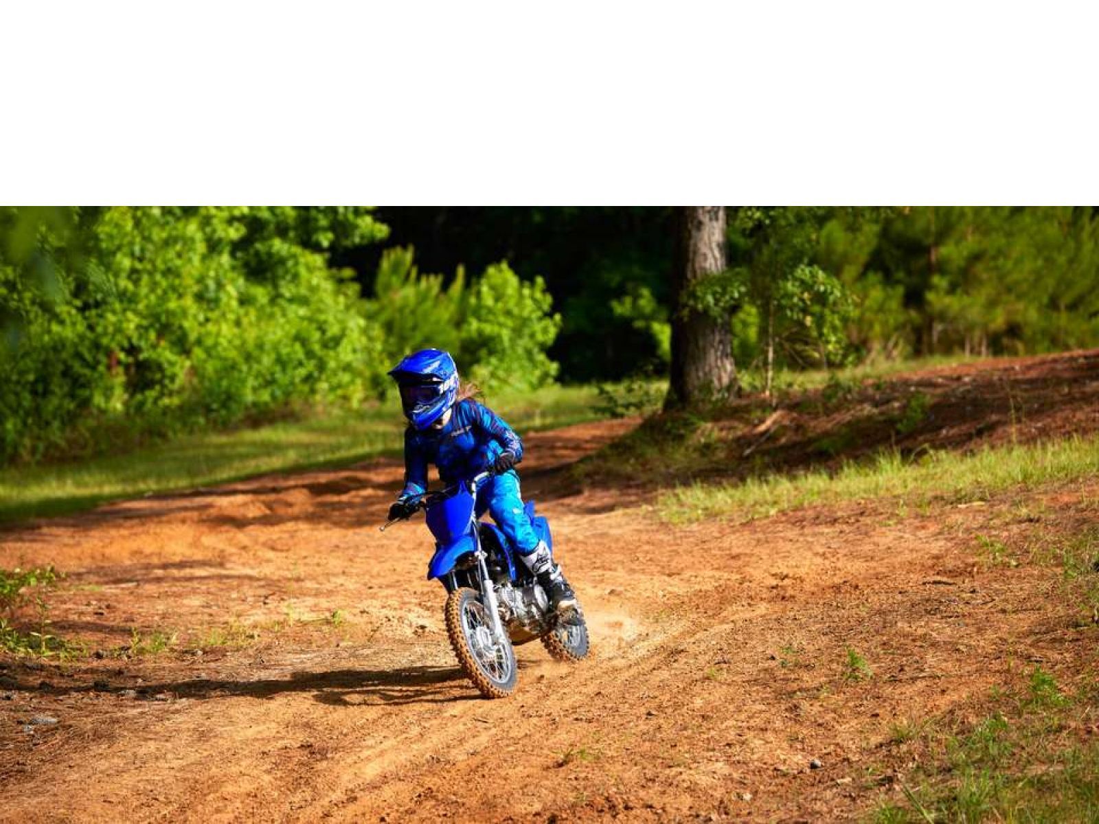 Мотоцикл YAMAHA TTR 110 E (Icon Blue) 2024